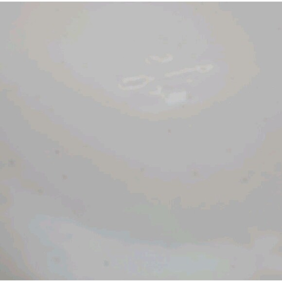 Pfaltzgraff DOG BOWL BASIC Speckled #305 7 1/2" D x 2 5/8" Tall Vintage - Picture 4 of 6